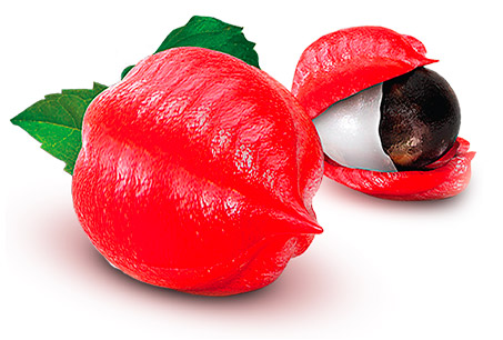 guarana berry